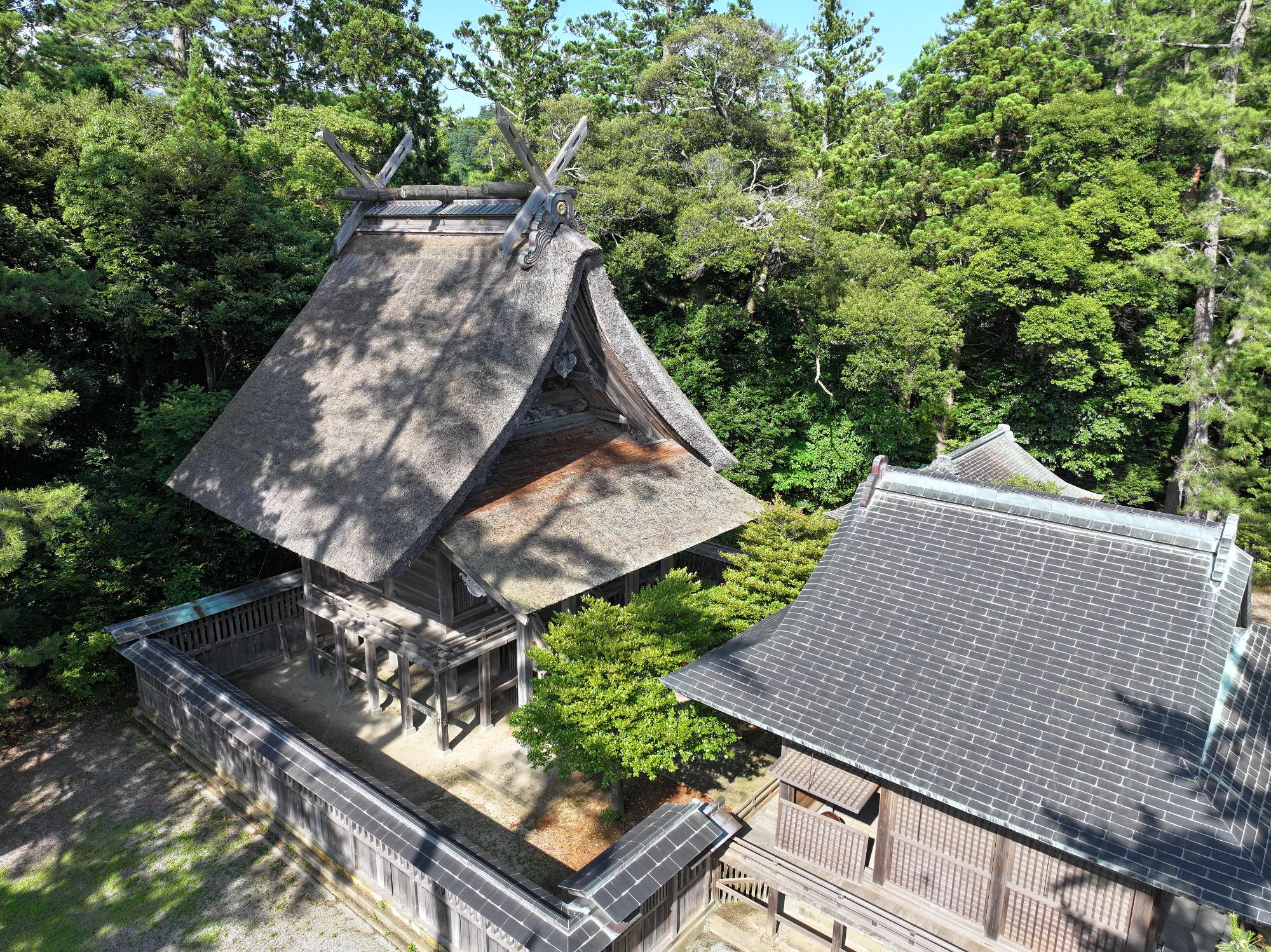 水若酢神社 (1)