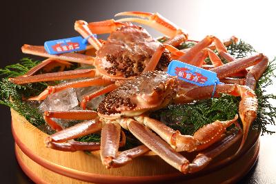 隠岐松葉ガニの写真