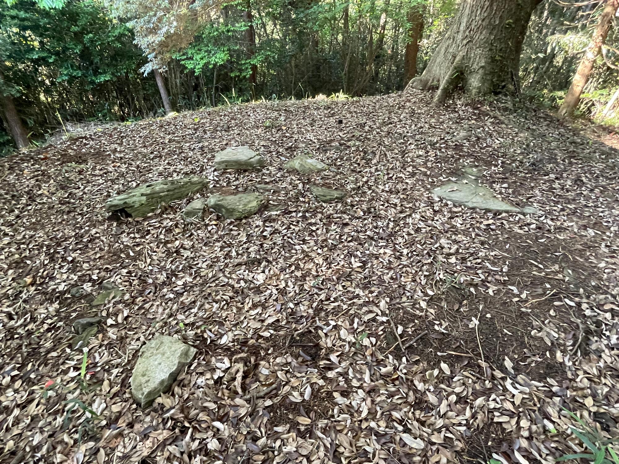 玉若酢神社古墳群 (2)