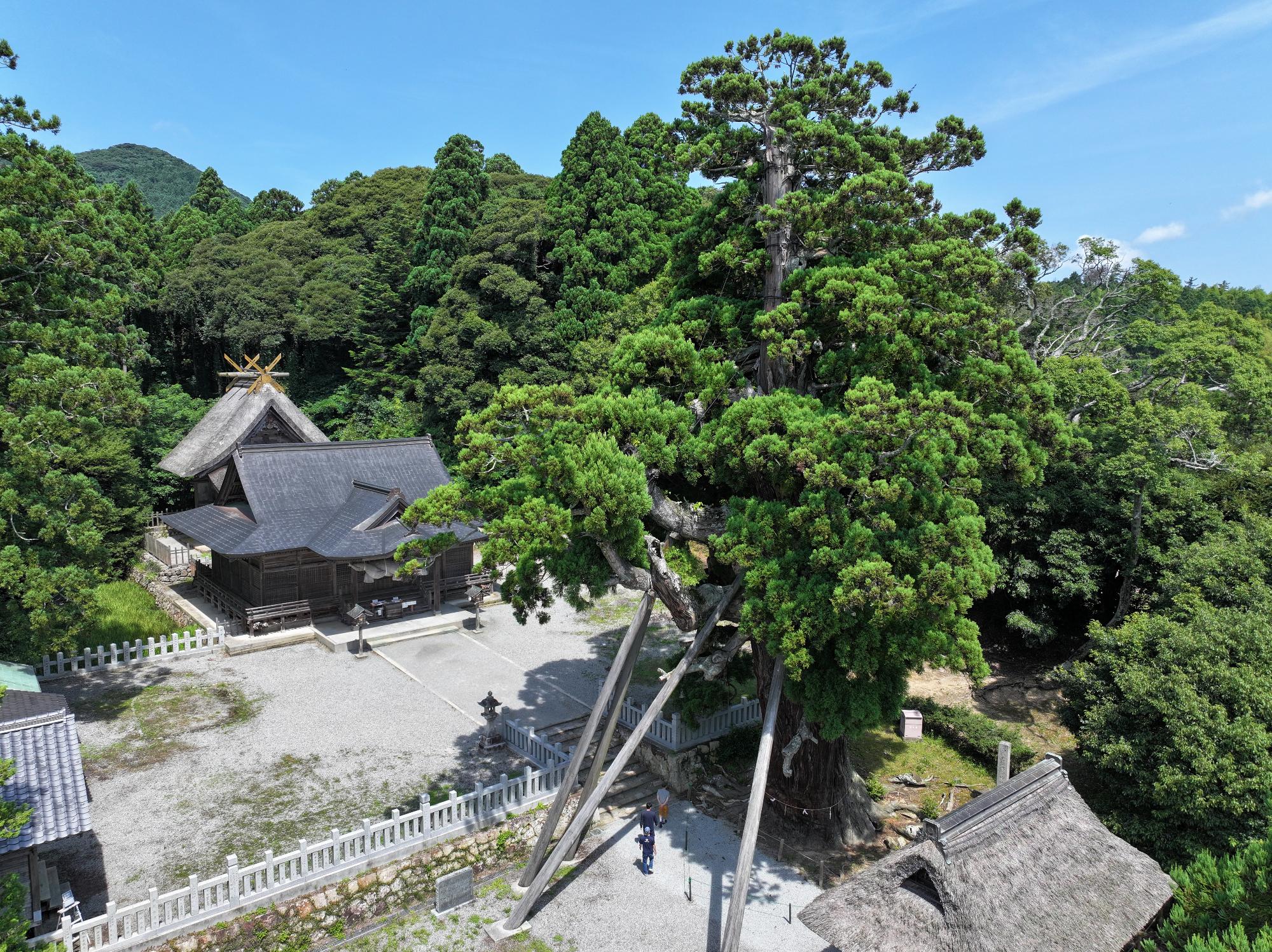玉若酢命神社 (3)