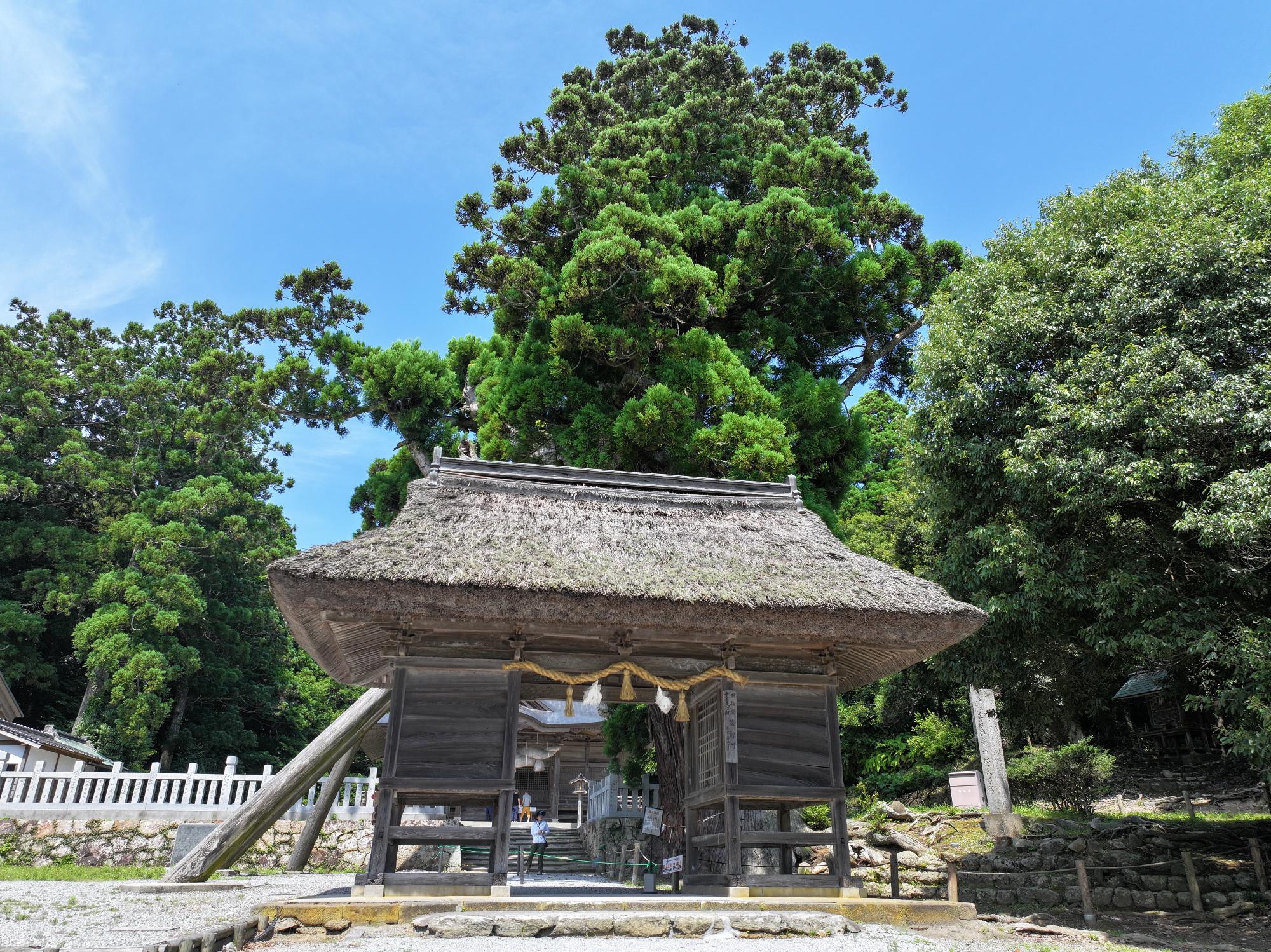 玉若酢命神社 (4)