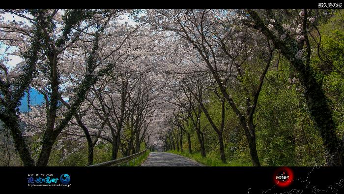 那久路の桜（サンプル）