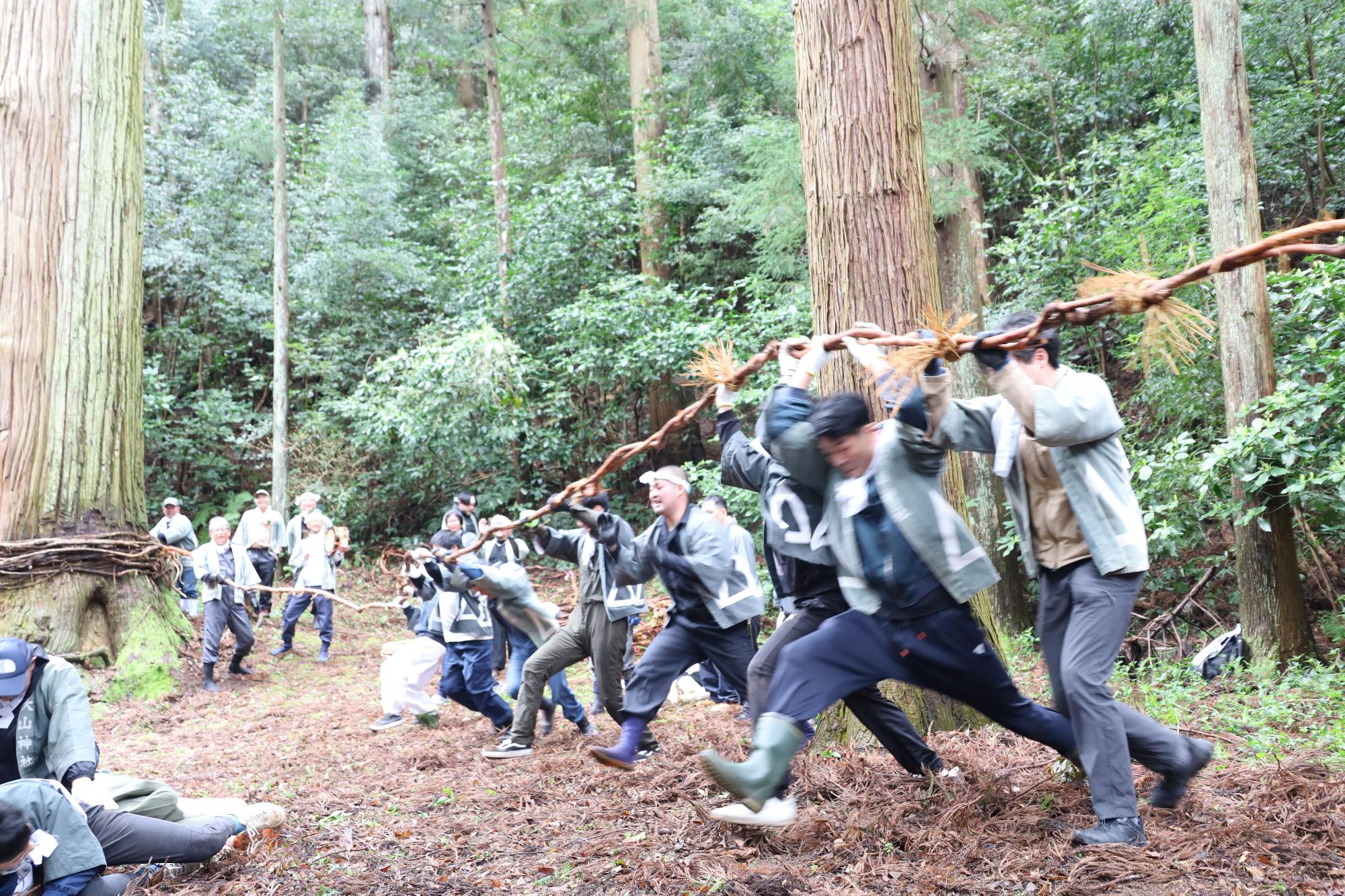 布施の山祭り (2)