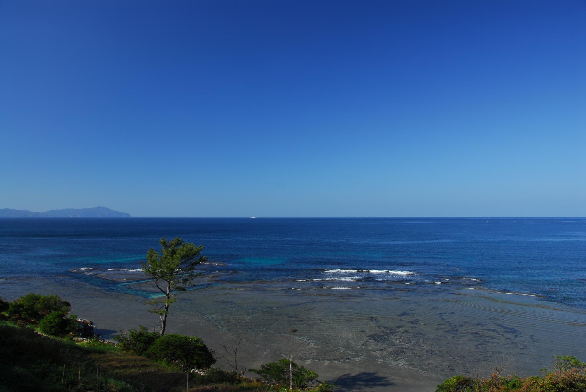 油井の前の洲