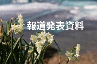 油井のすいせん報道発表用画像