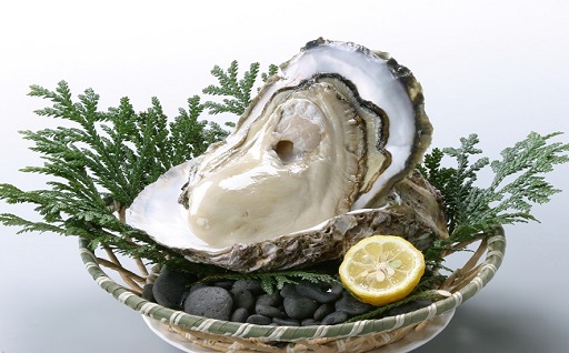 かごにのせられた大きな牡蠣の写真