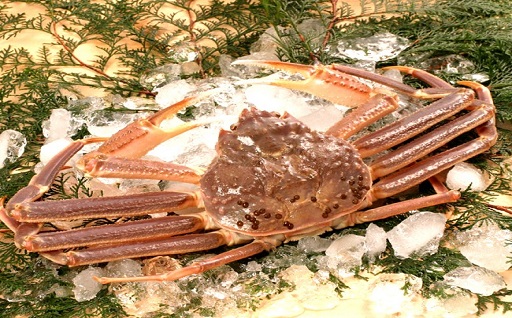 大きな冷凍の蟹の写真