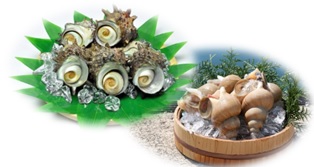 5つ並べられたサザエと海と白砂を背景にした巻貝の写真