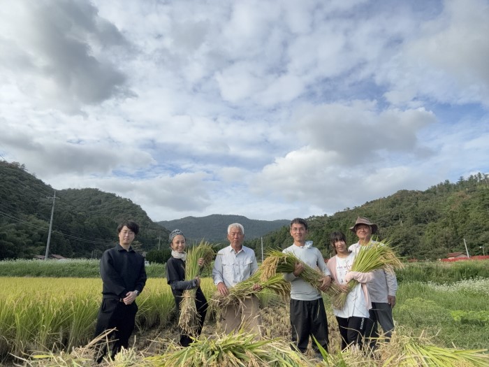 令和7年度 都万営農の指導の元稲刈りに挑戦する地域おこし協力隊の様子