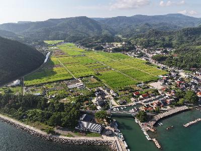 都万営農の活動拠点となる都万地区の田畑の様子