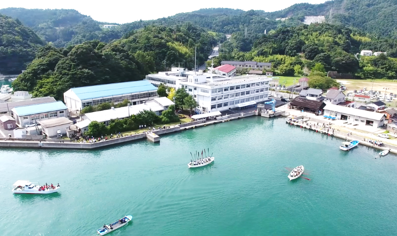 奥に緑の山が見える港の写真