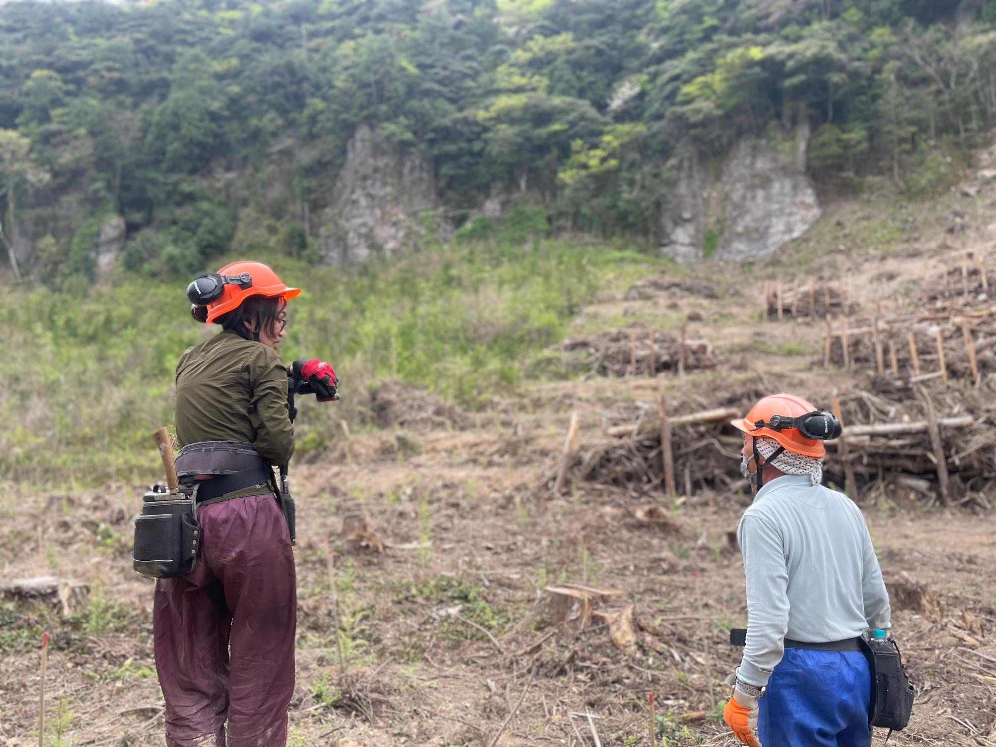 伐採された林と二人の作業員の写真