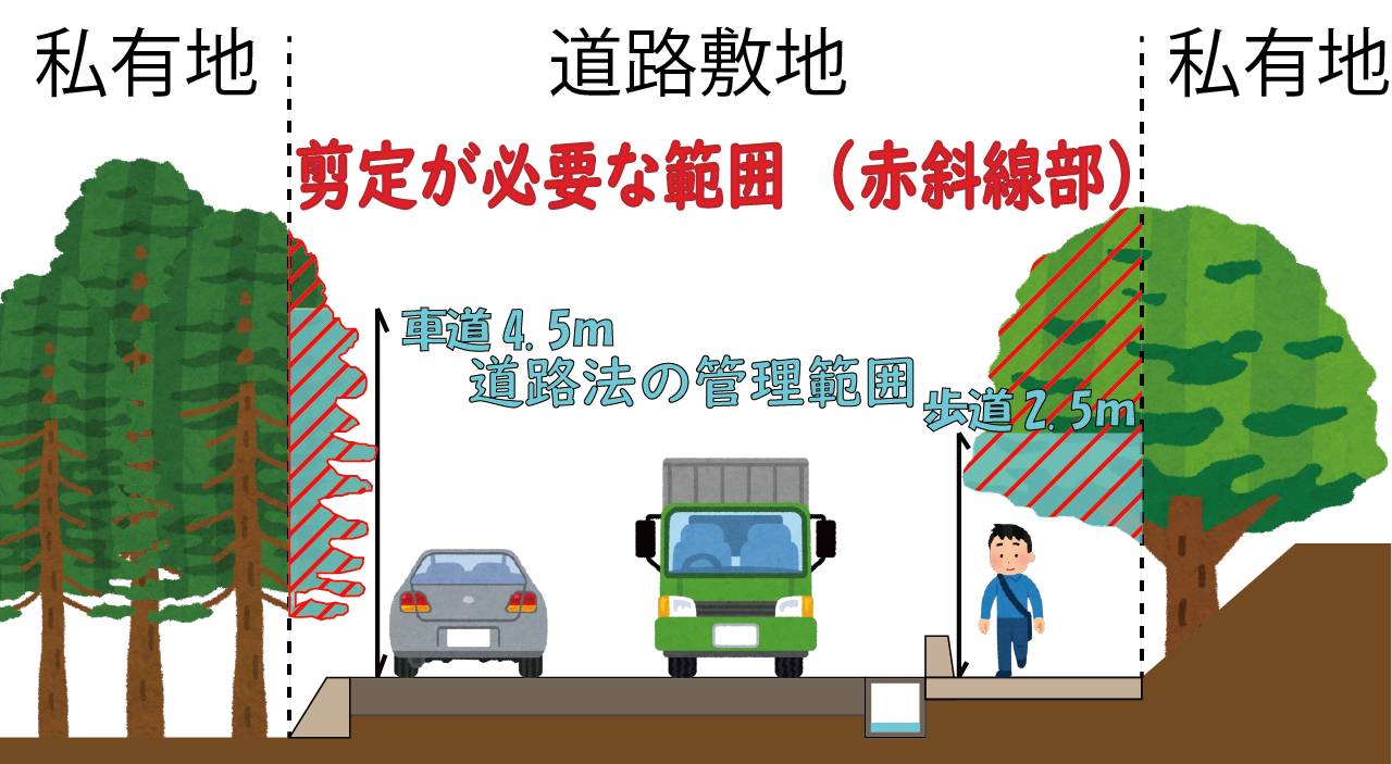 私有地と道路敷地の境界を越えて道路敷地側に張り出した樹木の剪定が必要な範囲を示した説明図