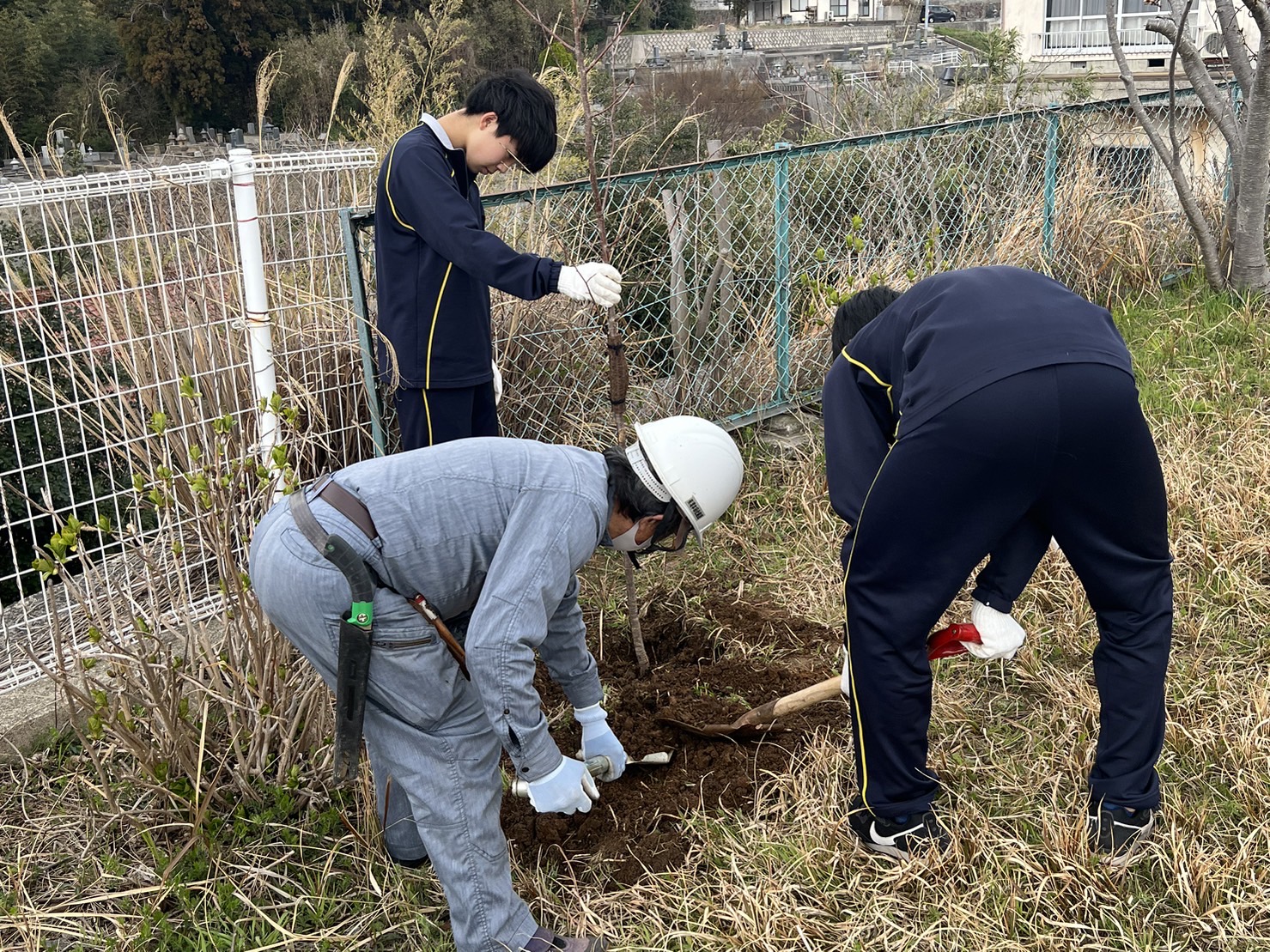 男子生徒が手で支える木の根元に土をシャベルでかぶせている作業着姿の男性と男子生徒の写真