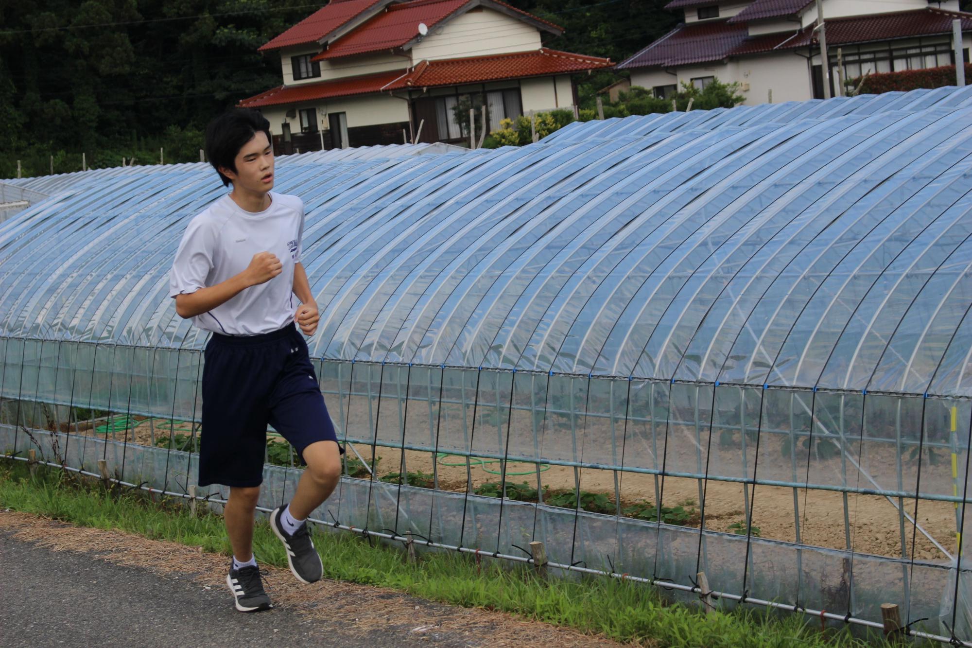 ビニールハウスの脇を少し苦しそうな表情で腕を振って走る男子生徒の写真