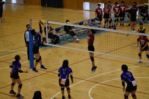 体育館で女子生徒たちがバレーボールの試合をしている写真
