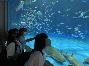 水族館の大きな水槽を前に生徒たちが魚を見上げている写真