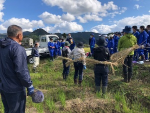 田んぼで生徒たちが地域の人から藁の扱いを教わる様子の写真