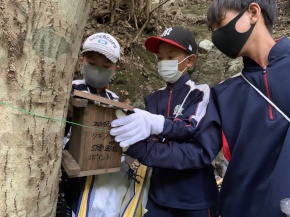 森の中で巣箱を取り付けている児童たちの写真