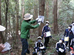 森林の中で講師が見本を示し児童たちが観察している写真