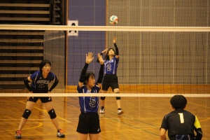 体育館でバレーボールの試合をする女子生徒たちの写真