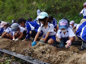 畑で児童たちが土を掘りながら作業をする写真