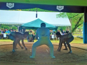 屋外の土俵で2人の力士が向かい合い構えている写真