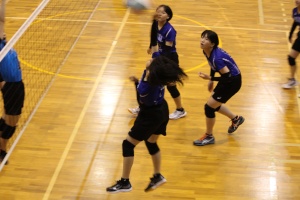 体育館で女子生徒がバレーのスパイクを打とうとしている写真