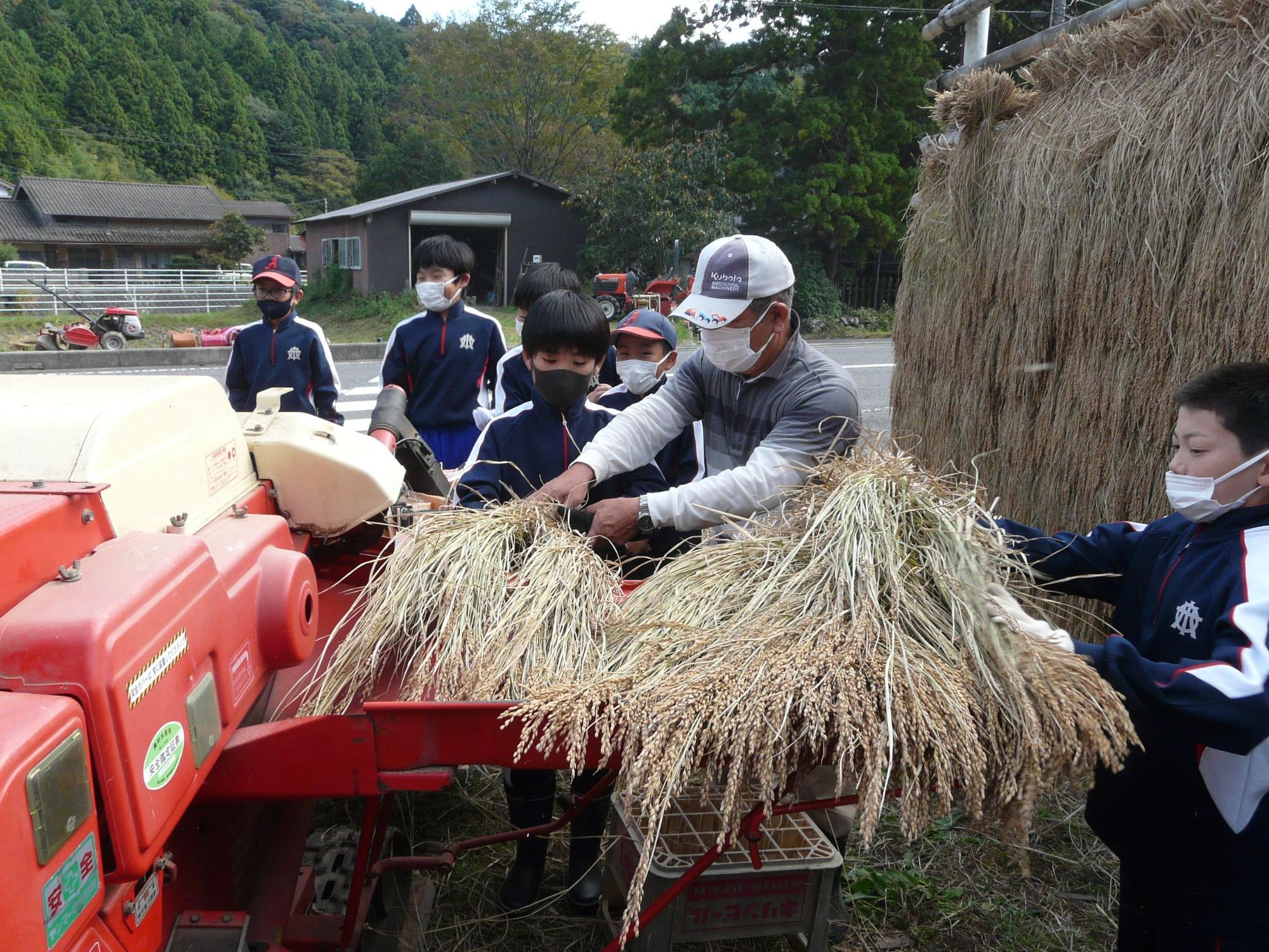 農作業中の児童と地域の大人が協力して稲を脱穀している写真