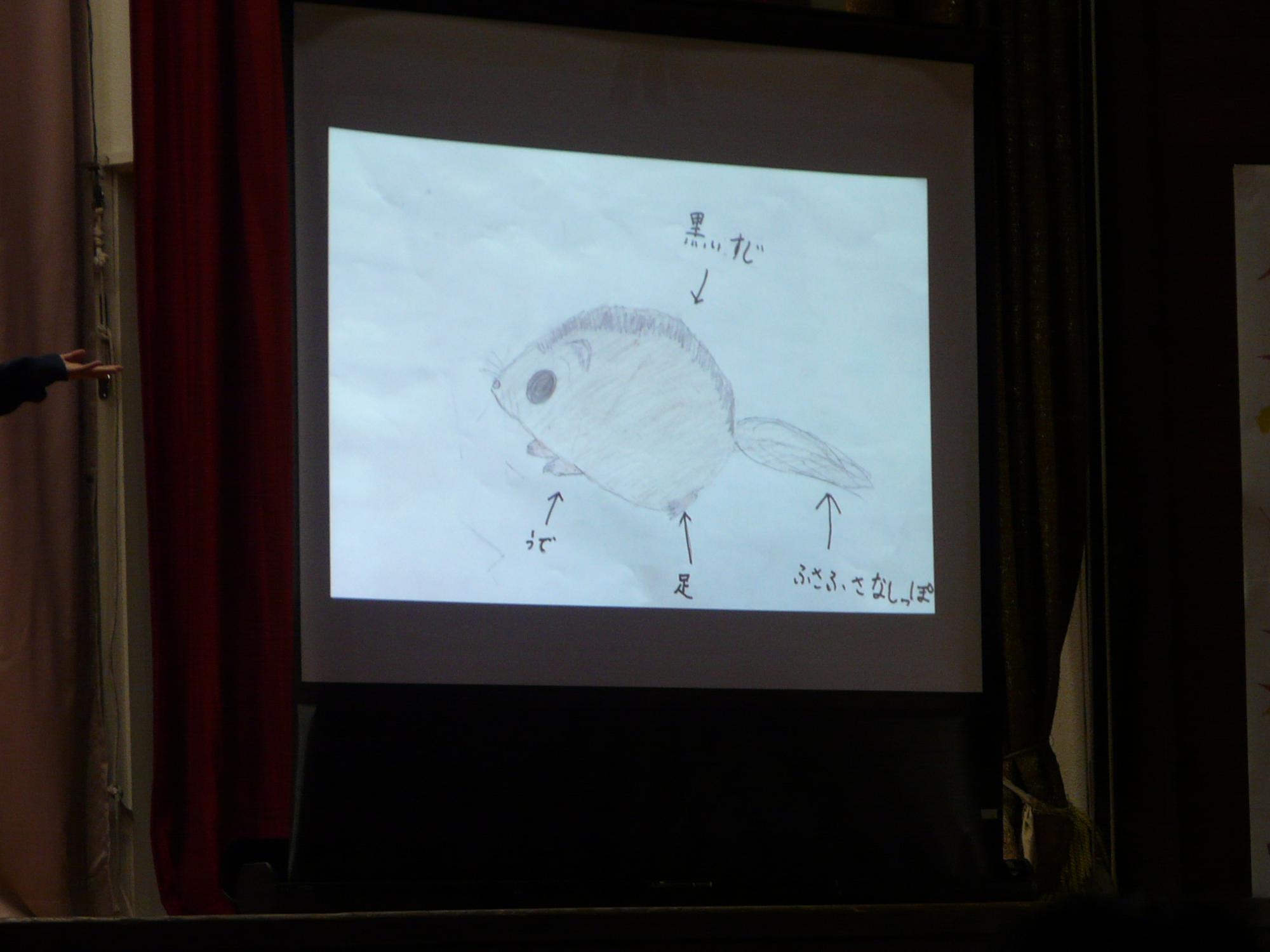 舞台のスクリーンに動物のイラストを投影して発表している写真