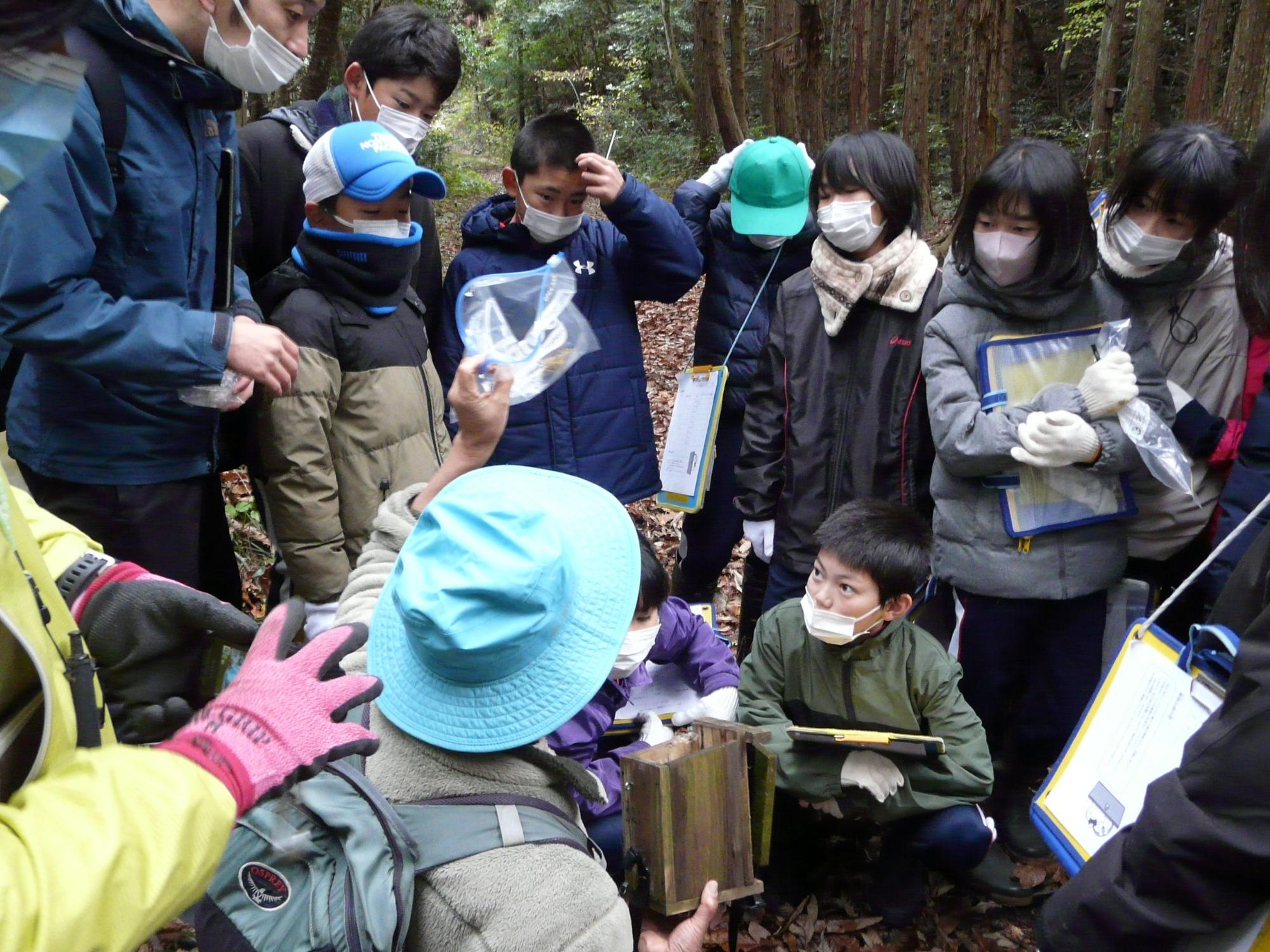 森の中で講師の説明を聞きながら観察をしている児童たちの写真