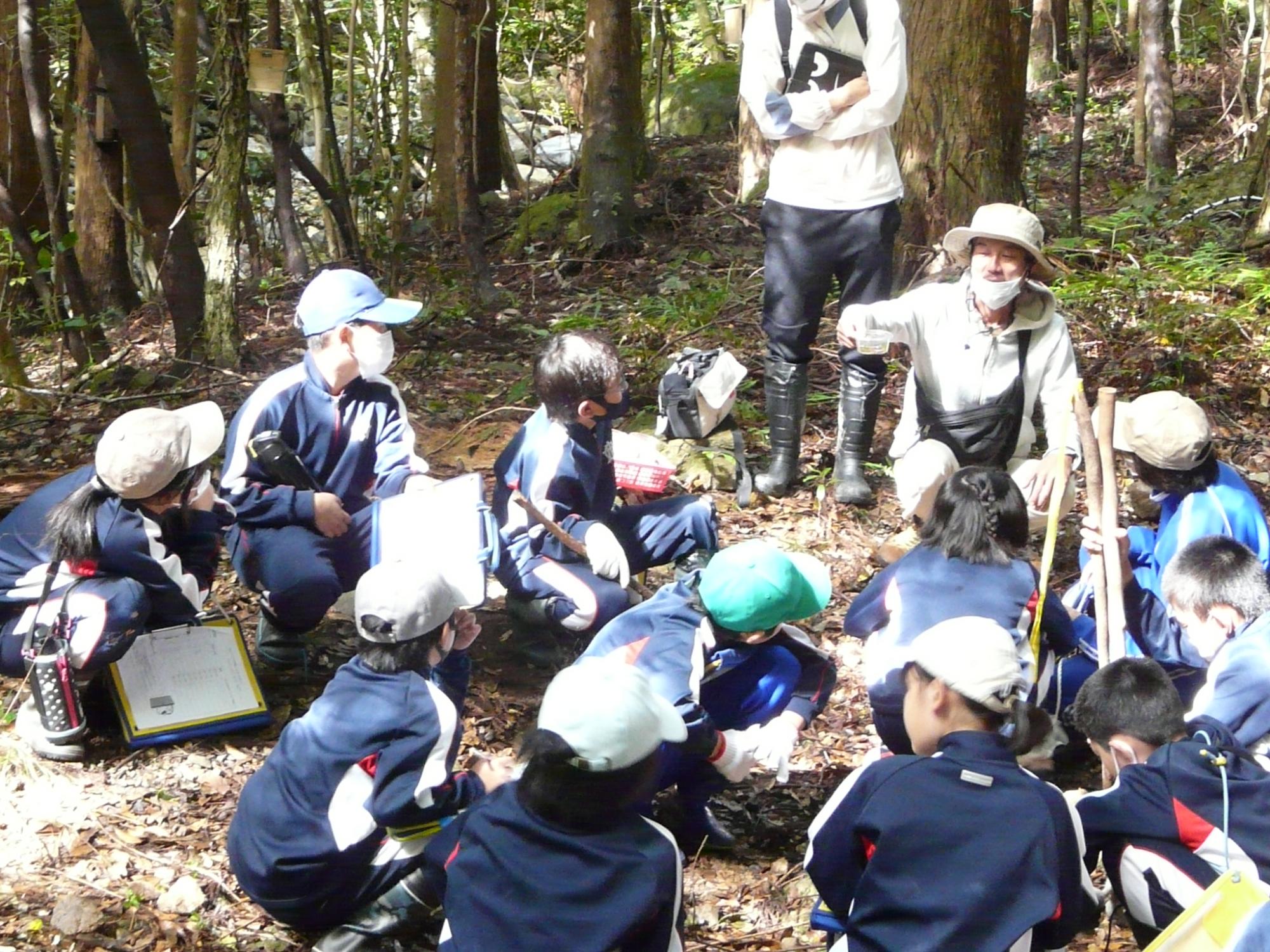 森の中でしゃがみ講師の話を聞く児童たちの写真