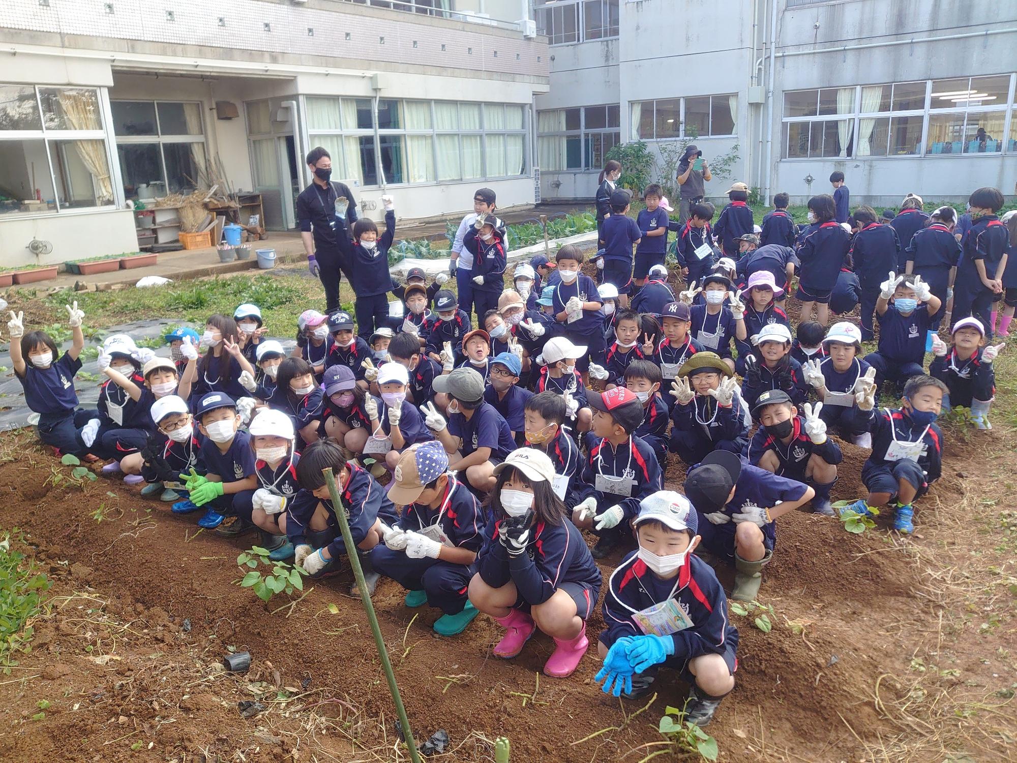 学校の畑で児童たちが手袋をして芋掘りをしている集合写真