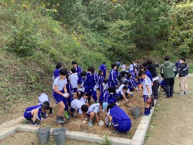 学校の花壇の前で児童たちが協力して植えている写真