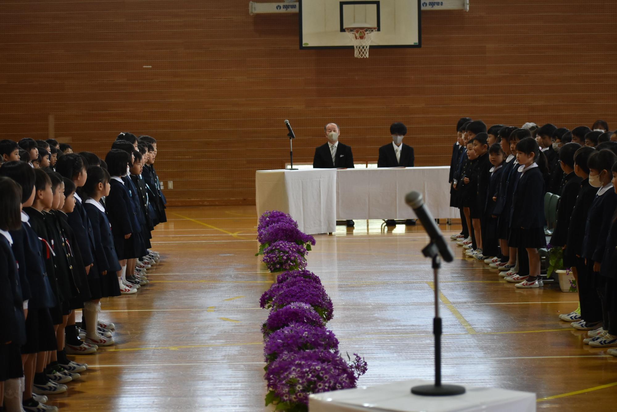 入学式で新入生と在校生が向かい合っている写真