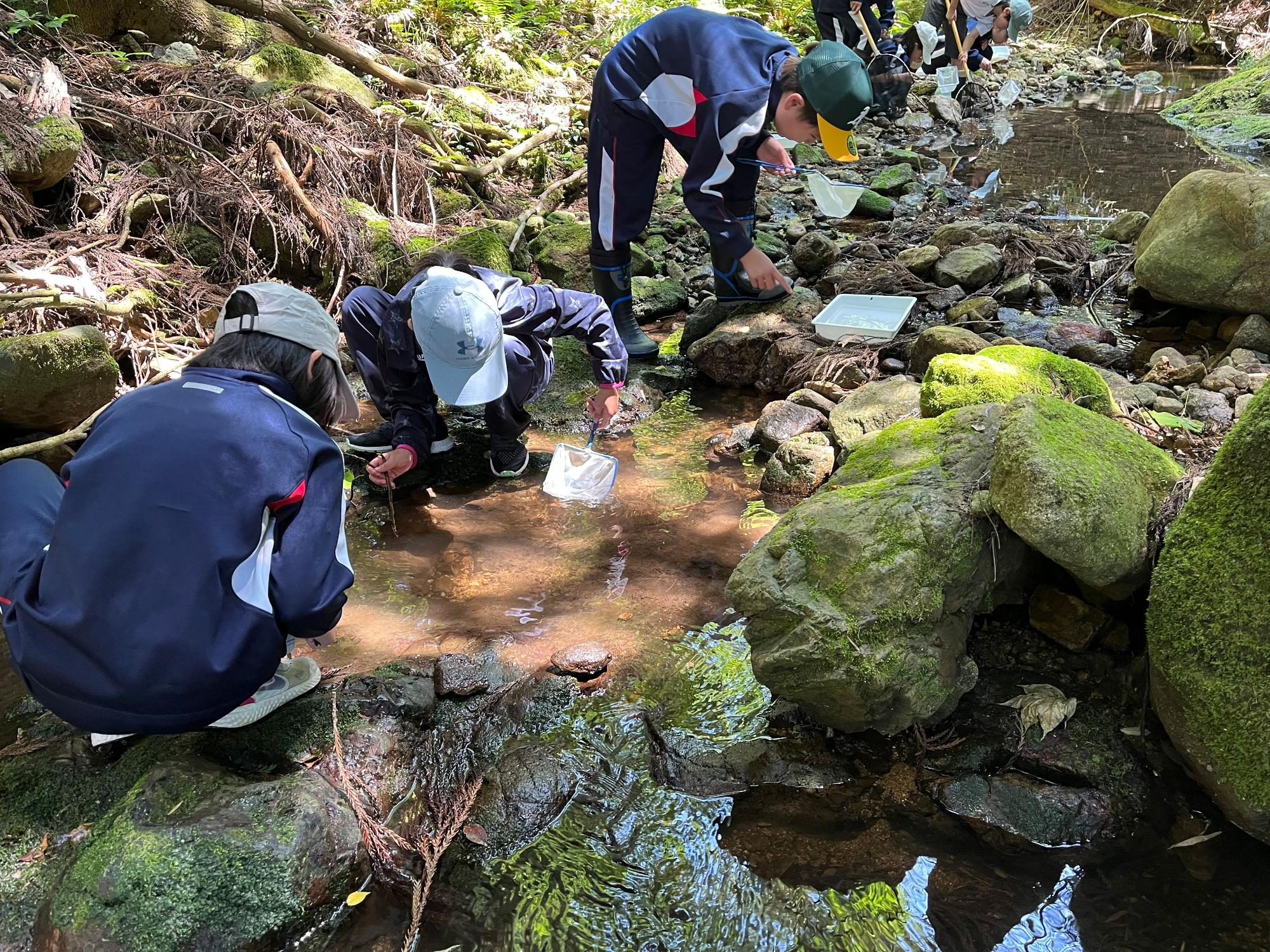 川辺で児童たちが生き物観察をしている写真