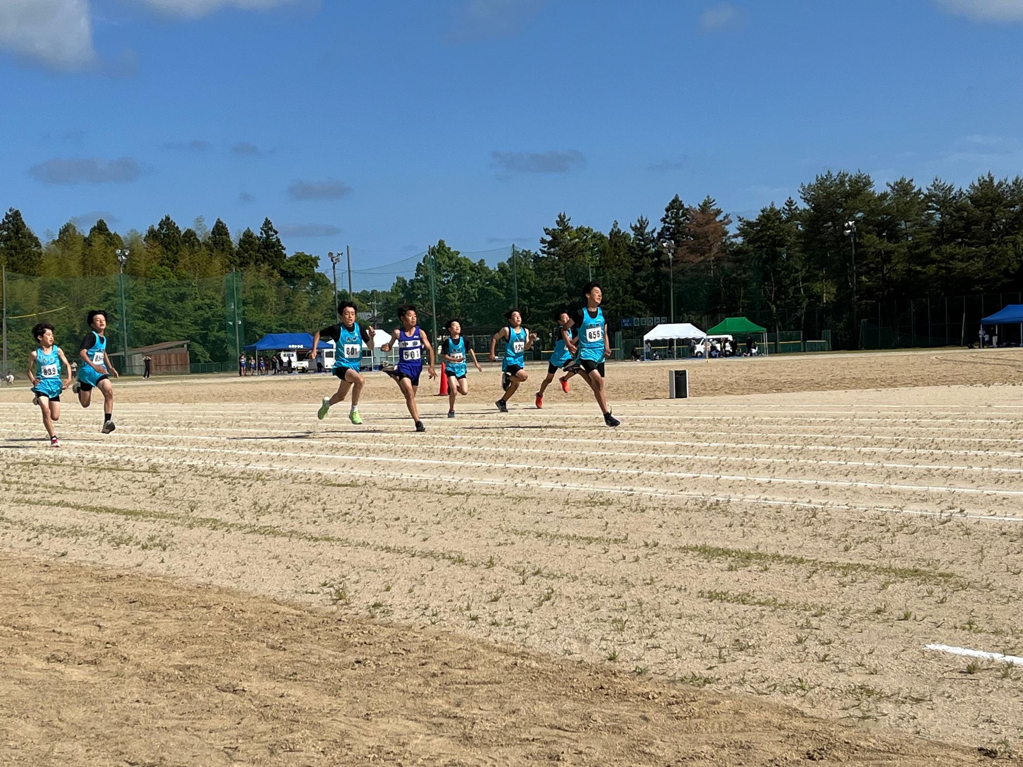 競技場で児童たちが短距離走に出場している写真