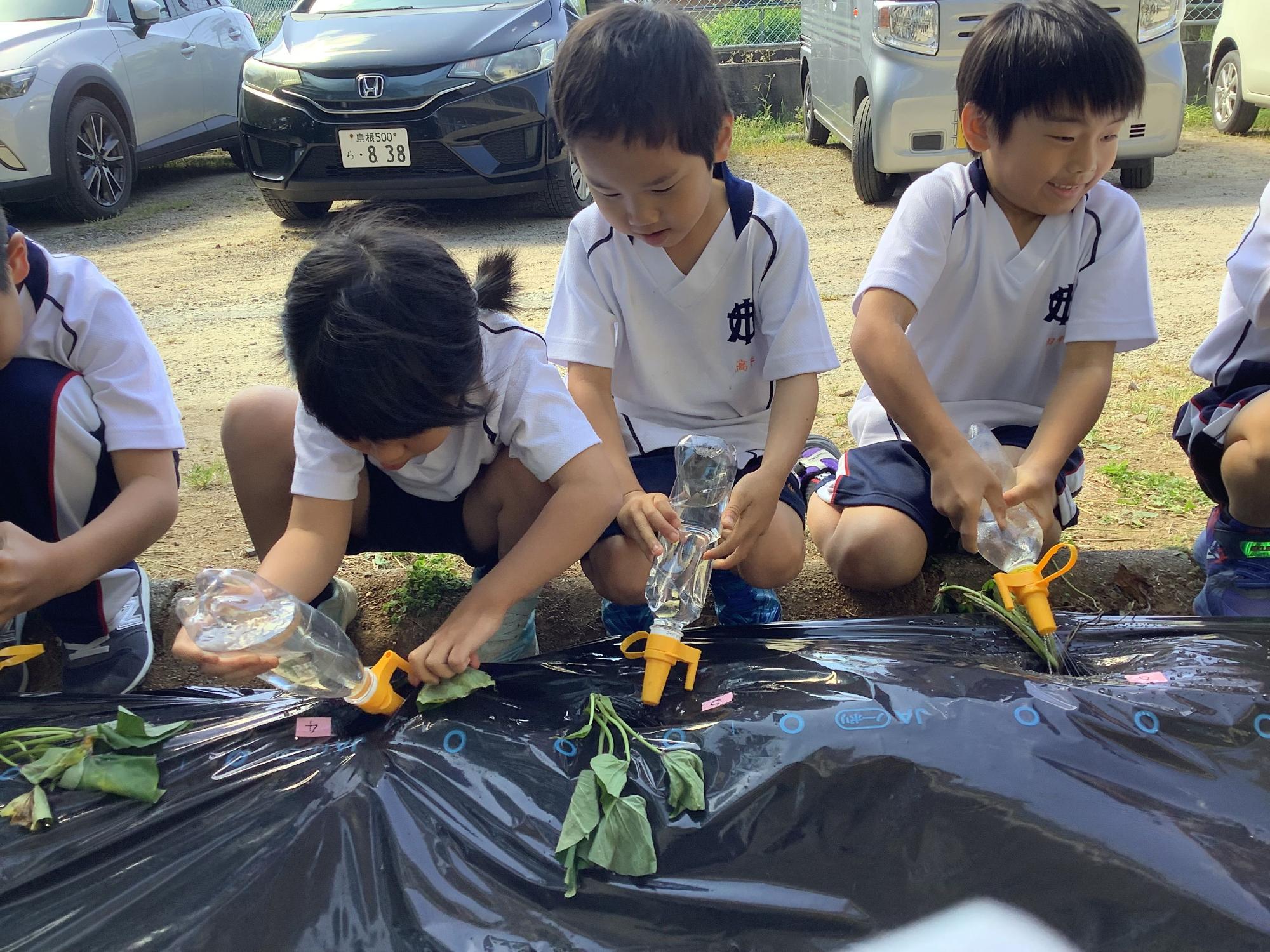 園芸活動で児童たちが苗に水やりをしている写真