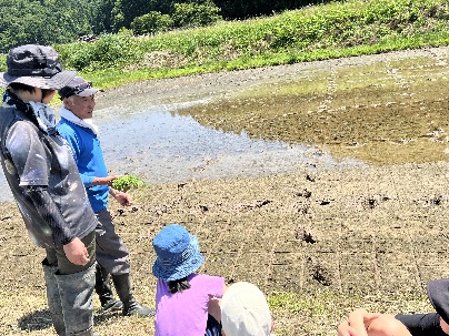 畦道で帽子をかぶった大人の方が子どもたちに田植えの説明をしている写真