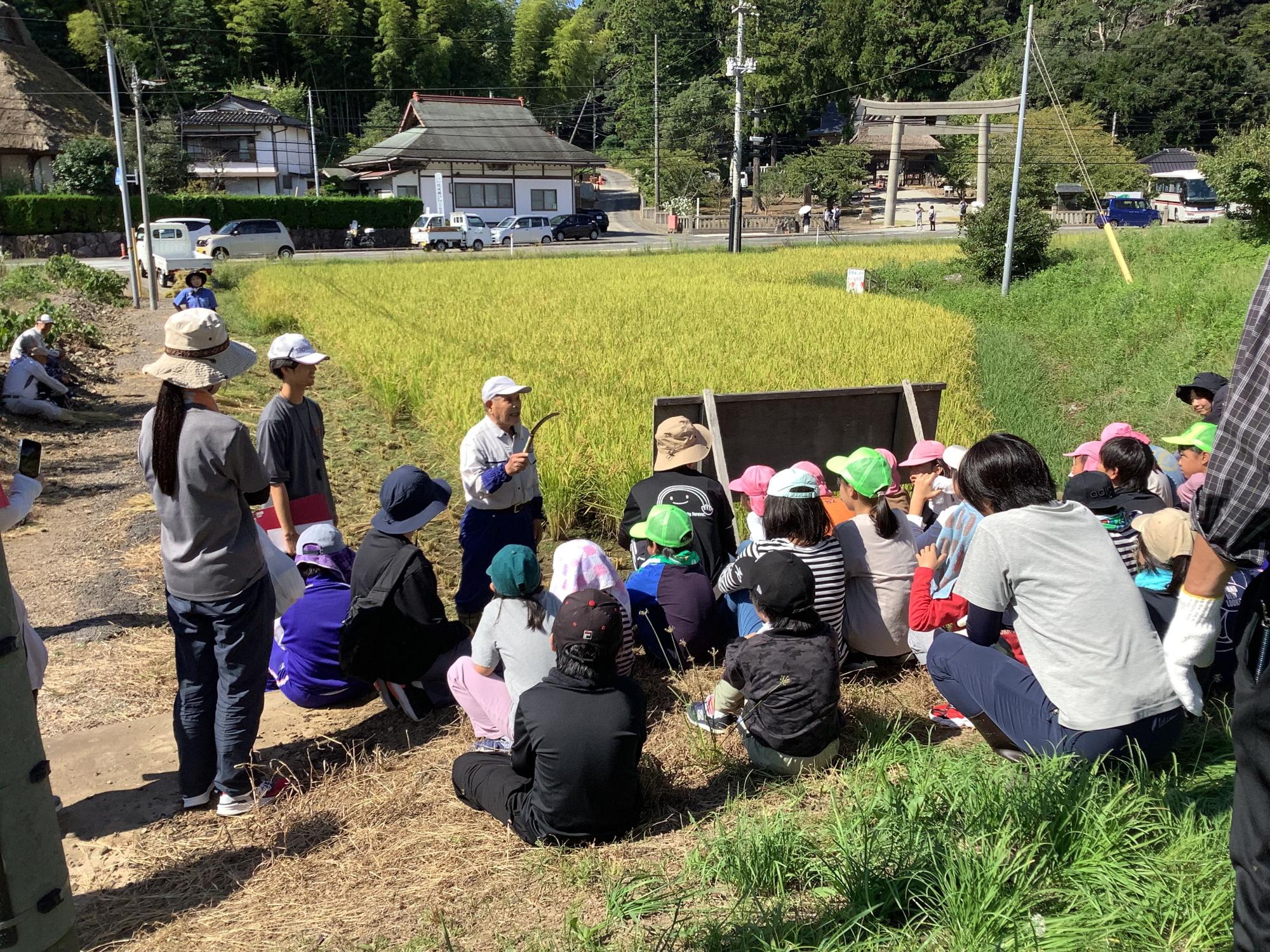 田んぼのそばで農家の人の話を聞いている子どもたちの写真