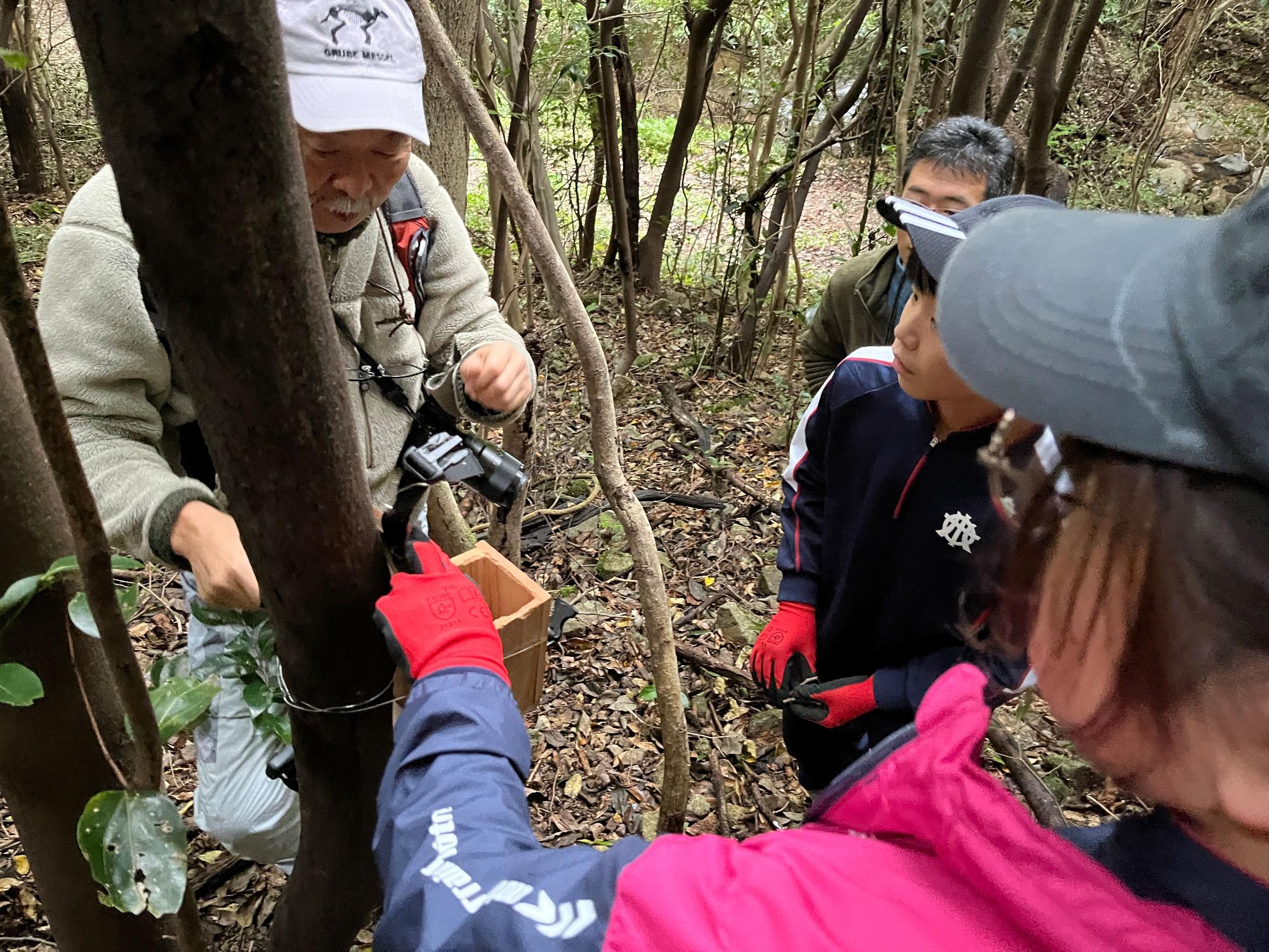 森の中で巣箱を設置する手袋を身に着けた児童と講師の写真