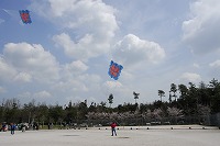 碧と赤の色合いの凧があげられているいぐり凧揚げ習俗の写真