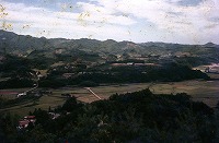 田畑、市街地、森林が広がる八尾平野を見渡す写真