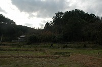 曇り空と森を背にした湊遺跡の写真