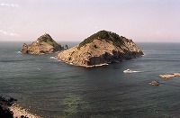 白い岩肌と緑の松がある小島が並ぶ隠岐白島海岸の写真