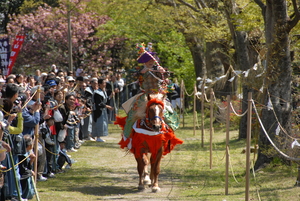 疾走する馬の上から的に向かって矢を射る流鏑馬の写真
