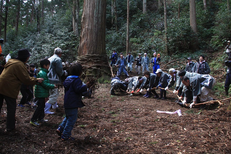 カズラを巻きつける「帯締め」の様子が収められた布施の山祭りの写真