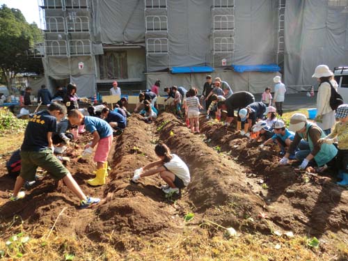 畑仕事をしている大人と子供たちの写真