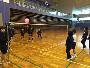 体育館でソフトバレーボールをしている子供たちの写真