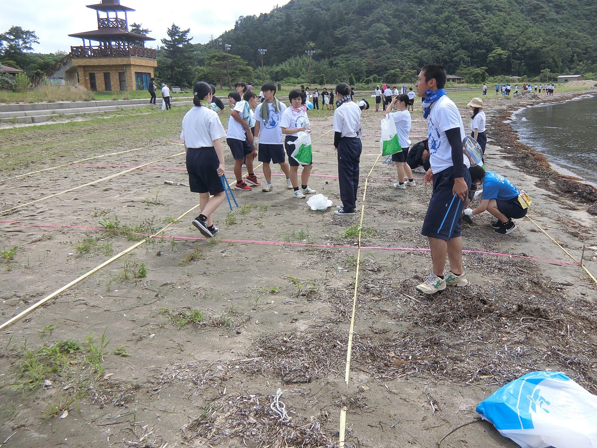 浜辺で行われたクリーン作戦に参加している人たちの写真